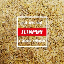 工厂供应除尘压缩谷壳、稻壳干净无霉变
