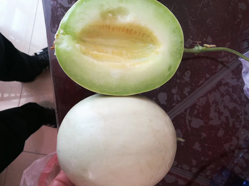 玉菇甜瓜切开特写