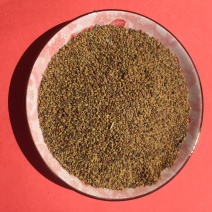 紫花苜蓿草种子，红豆草种子，是广大养殖业的选择。