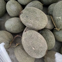 西周密