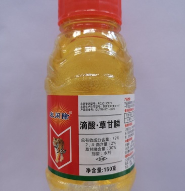32%滴酸草甘膦150克非耕地果园除草剂3天见效5天死草