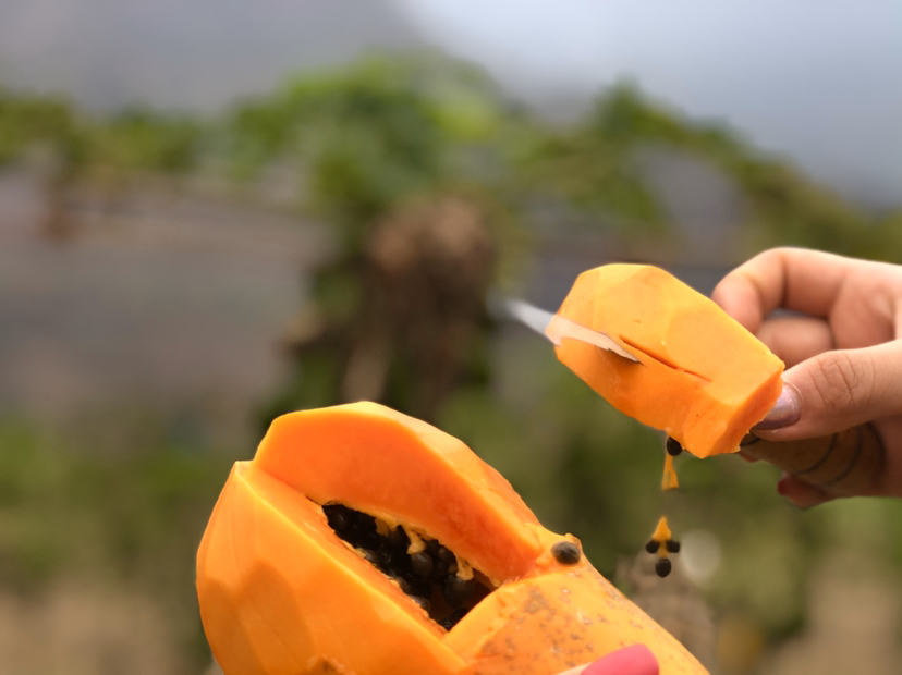 一位女性正在厨房中切开一个成熟的木瓜,露出内部结构,背景温馨自然 切开木瓜发现小木瓜的过程