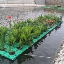 永信水生植物人工浮岛保质保量厂家直销无中间商