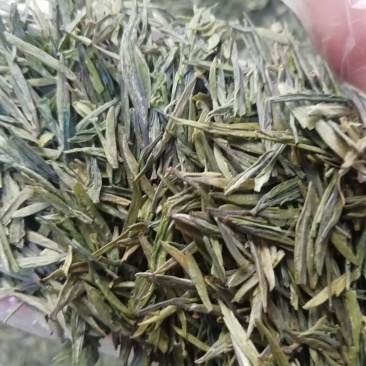 [批发]四川广元剑阁县 350.00元/斤青川县七佛贡茶一芽一叶 _ 一亩田