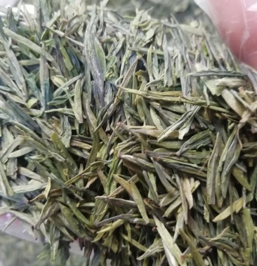 青川县七佛贡茶一芽一叶茶叶