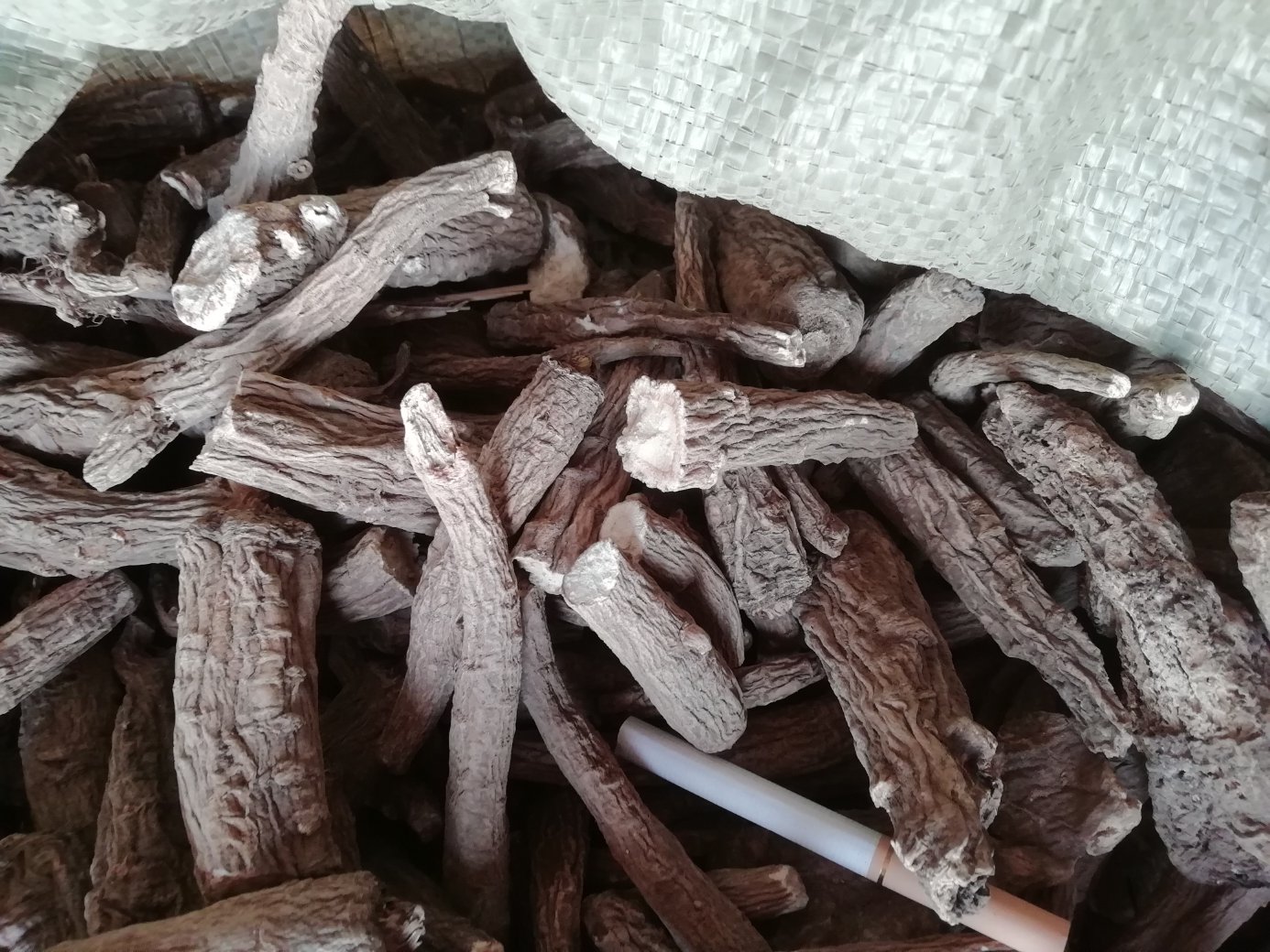 左侧为乳白色的白芷细粉,均匀细腻;右侧为透明试管中淡黄色的白芷提取液,背景为实验室操作台,配有显微镜和玻璃器皿,展示现代科研对白芷成分的研究场景 白芷粉末与提取物对比图