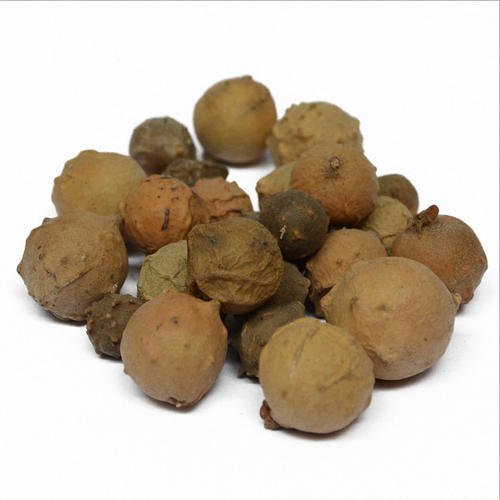 [臭灵丹草批发]臭灵丹草,常年批发冷背药材中药材臭灵丹草量大从优