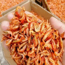 干虾