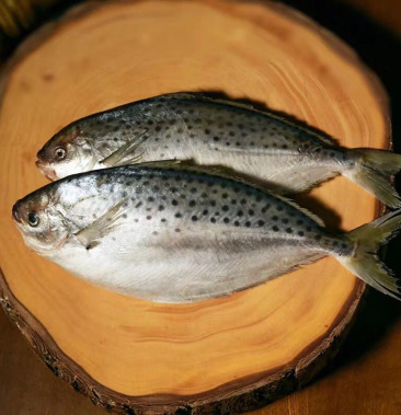 【渔鲜荟】阿根廷雪花鲳500g