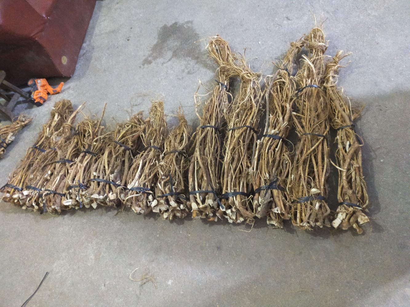 桃与中草药搭配示意图