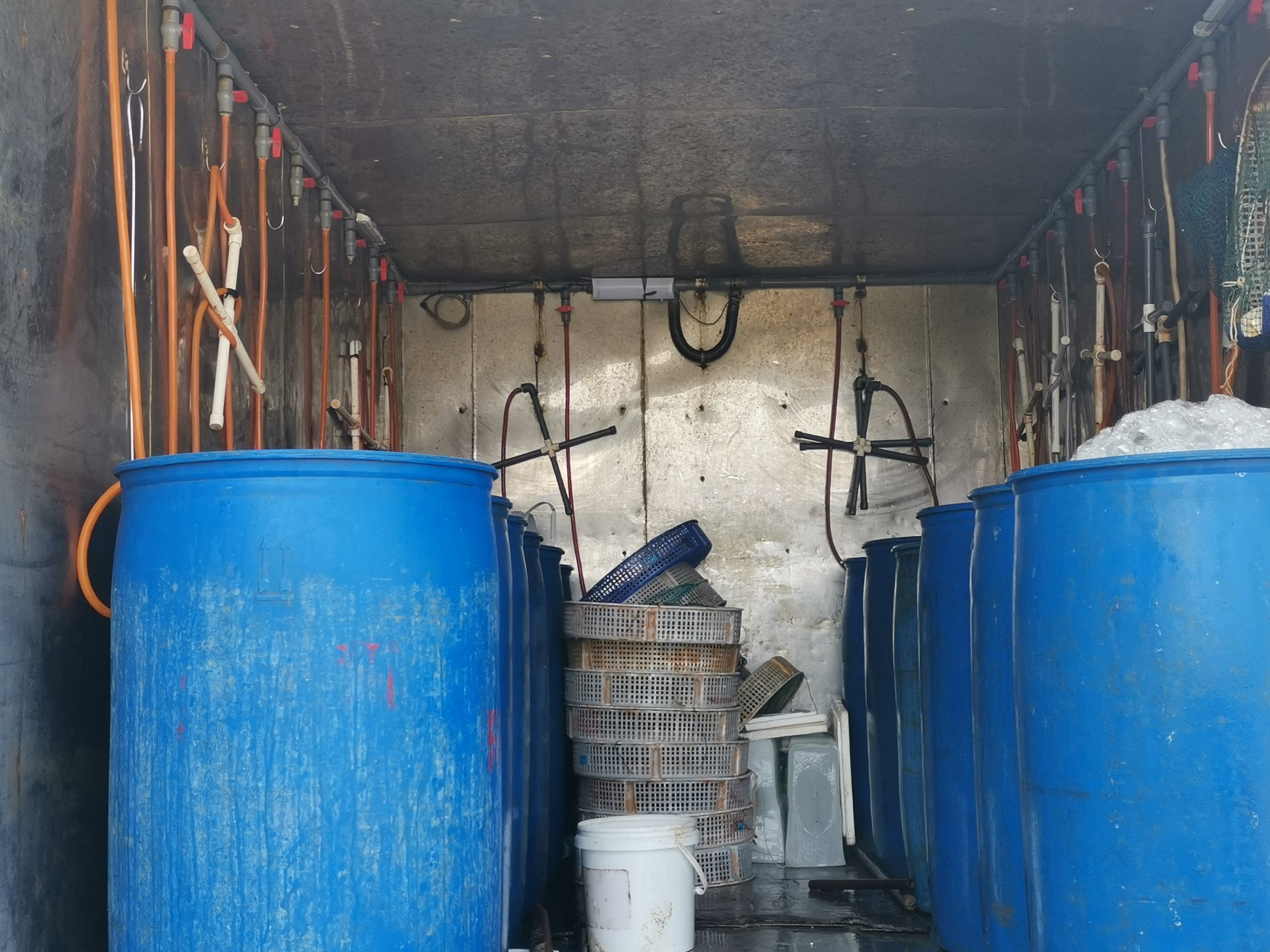 南美白对虾养殖桶结构示意图,展示进水口、排水口、增氧系统和底部排污系统 南美白对虾养殖桶结构示意图