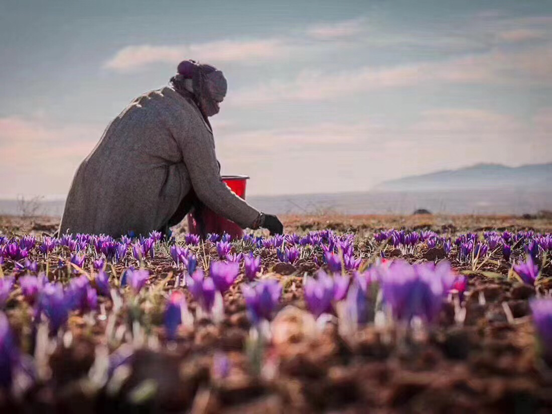 摩洛哥女孩手捧雏菊在花田中微笑