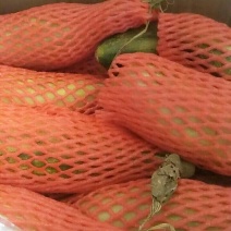 羊角蜜甜瓜