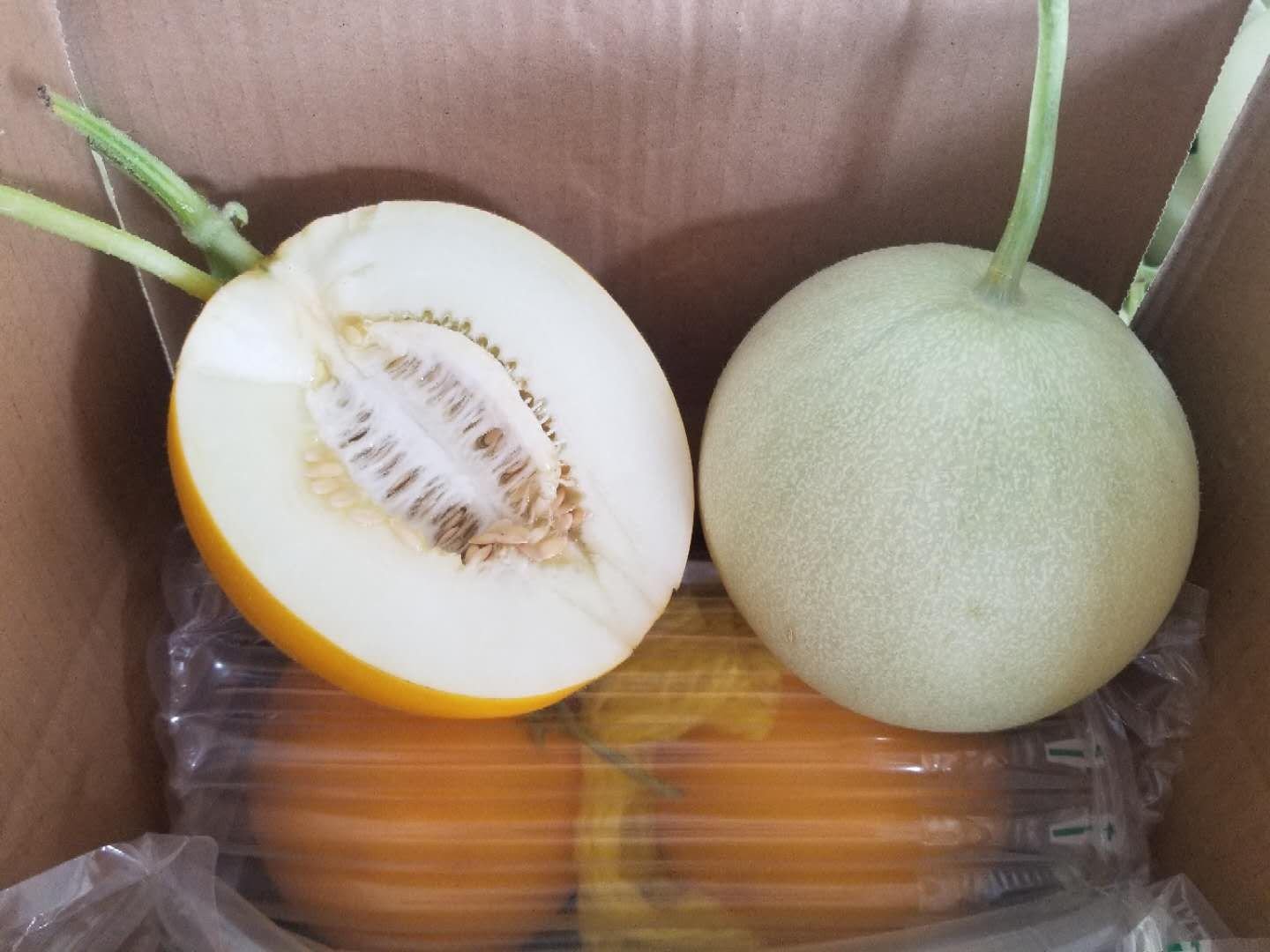 海南三亚第一集贸市场早市摊位:竹编筐内整齐码放12枚玉菇甜瓜,果皮覆天然蜡粉呈哑光青白色,每果贴有‘乐东产地·2024.01.15采’溯源标签;背景可见电子秤显示单价18.8元/斤,顾客正手持瓜轻叩听声辨熟度 海南玉菇甜瓜1月市场零售实景