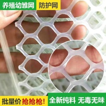塑料养殖网育雏网鸡鸭鹅漏粪网苗床网围栏网塑料垫网