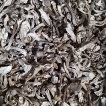 鹿茸菇（干品）