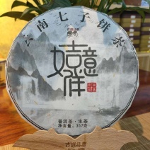 普洱茶生茶2019年春茶大树茶云南七子饼茶357克/饼