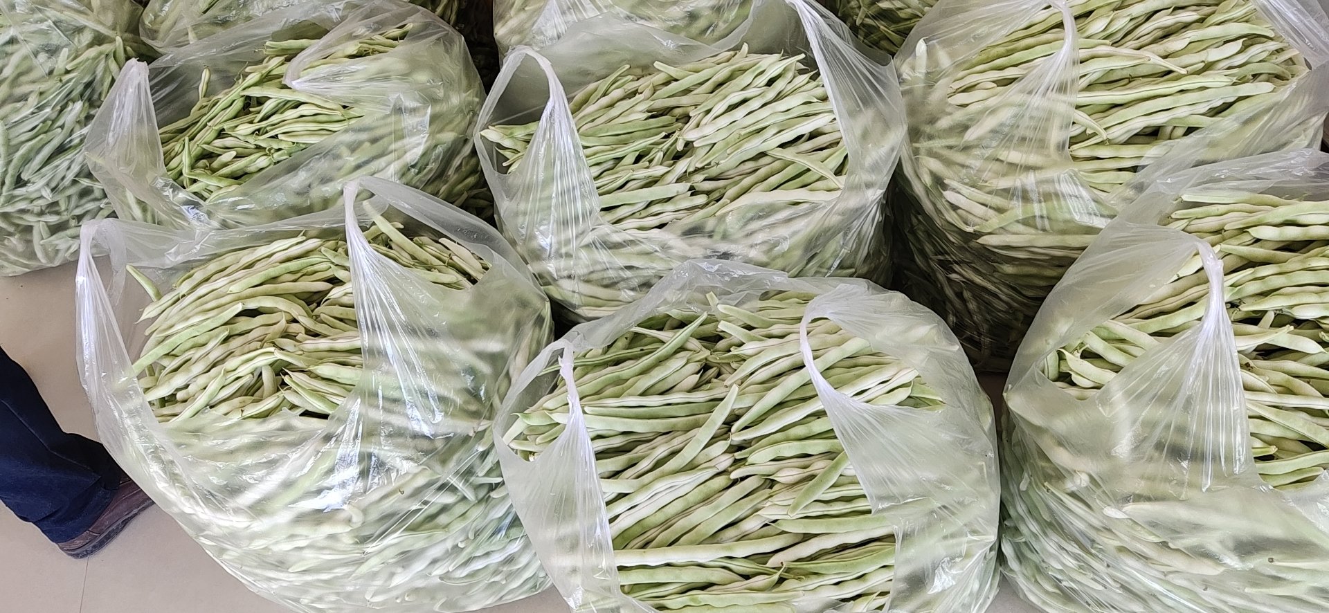 展示芸豆在市场中被加工、包装、销售的场景,突出其商品化与市场流通 芸豆加工与市场销售场景