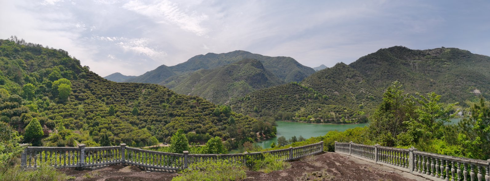 东魁杨梅采摘园入口导览图与配套设施