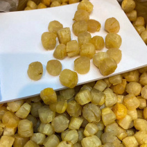煮粥备用的元贝干瑶柱营养成分高