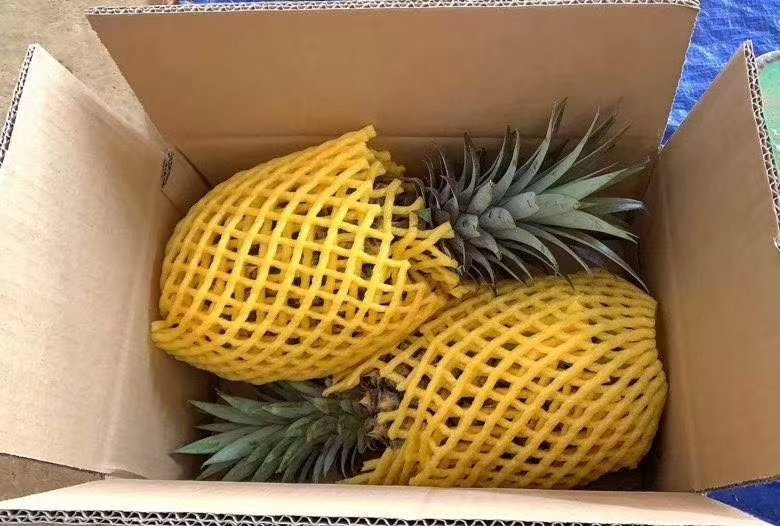 家庭厨房场景：冰箱冷藏室中层隔板上并列摆放三样物品——左侧为带盖玻璃罐装菠萝块（液面齐平）、中间为真空密封冷冻袋（标注'菠萝-2024'手写字样）、右侧为整颗带冠菠萝置于竹编果篮中，背景为浅木纹橱柜