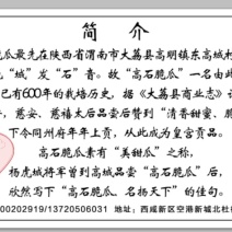 高石脆瓜