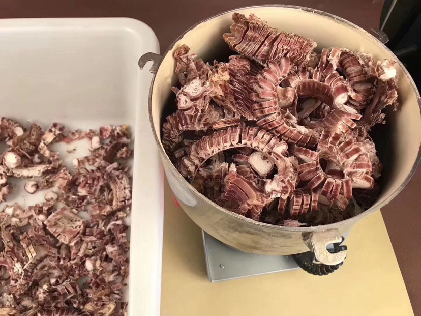 新鲜干燥鹿鞭整齐摆放在木质托盘上,背景为中药柜,旁边配有剪刀、白酒瓶和玻璃密封罐,展现传统药材准备场景 鹿鞭原材料展示