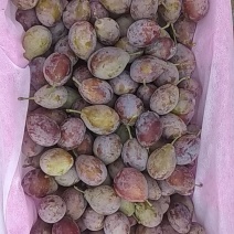 西梅，鲜杏，红富士苹果，核桃，巴旦木
