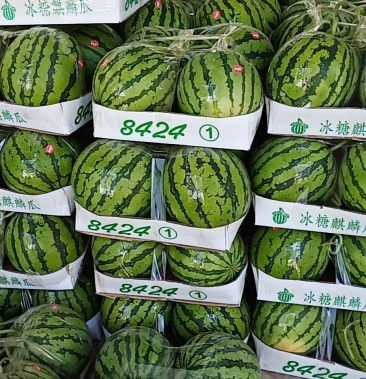 [8424西瓜批发]精品 8424西瓜,夏邑大量上市,服务一流,价格美丽.