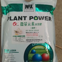 河北邯郸源沃肥业科技有限公司微量元素硼肥