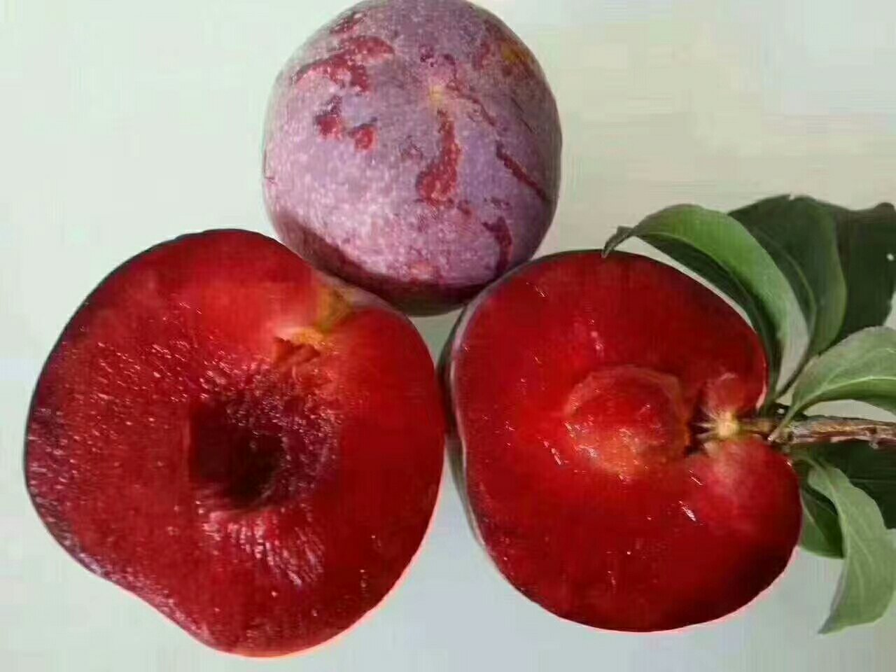 三华李切面对比图