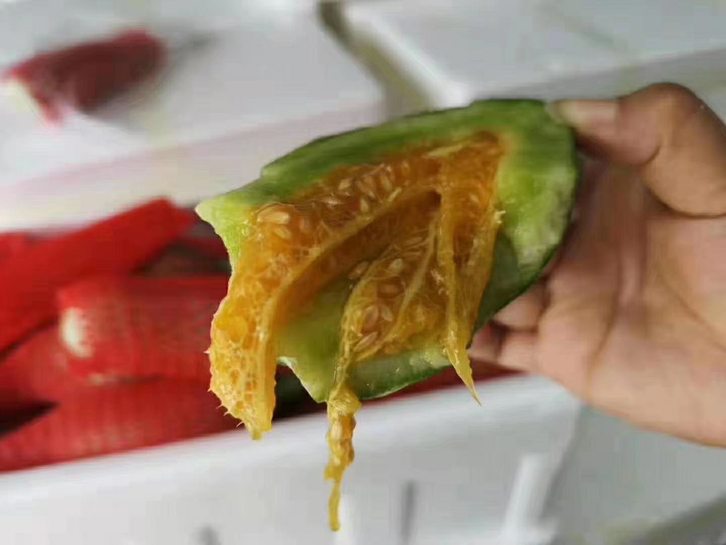 青县羊角脆甜瓜切面展示,可见金黄色果肉与丰富汁水 青县羊角脆甜瓜切面展示