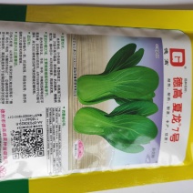 德高夏龙7号青梗菜种子