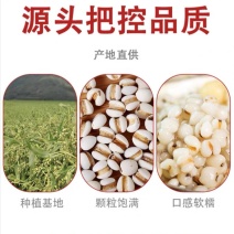 真空杂粮系列真空薏米薏仁苡仁详情致电询问