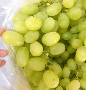 吐鲁番无核白葡萄来喽来喽真的来喽快来品尝吧