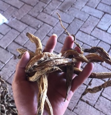 [百部批发]白部价格30.00元/斤 - 一亩田