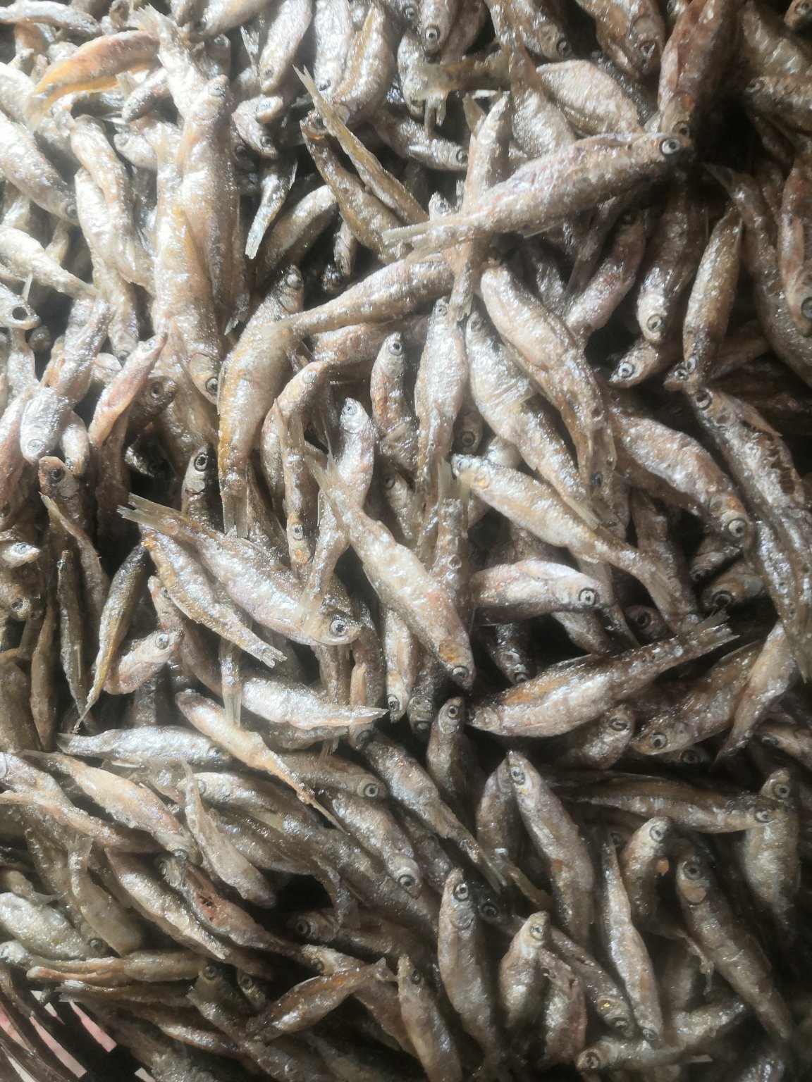 小鱼干油炸白肖鱼不开肚自产自销