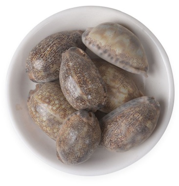 紫贝齿紫贝文贝无硫净货保正品批发零售各种矿石