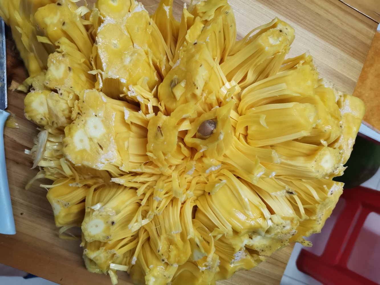 黄心菠萝蜜与红心菠萝蜜对比图