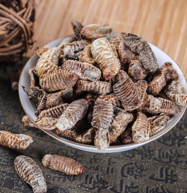 蛴螬土蚕无硫净货保正品批发零售各种中药材