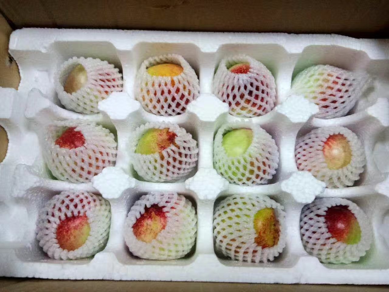 一张高清静物摄影图,展示多种包装形式的518大油桃:左侧为透明礼盒装,内含8颗完整油桃,果皮鲜红发亮;中间为网套+纸托散装款,适合电商发货;右侧为切开展示的半颗油桃,可见乳白色果肉与离核结构,背景为木质餐桌与绿叶点缀,突出自然健康的产品形象 518油桃零售与包装展示图