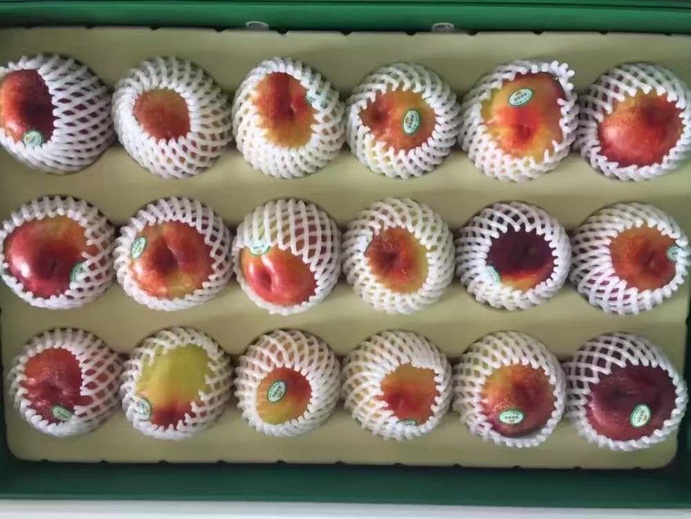 518油桃电商销售实景图：白色磨砂礼盒开启状态，内衬EPE珍珠棉固定4枚完好果实，每果贴有带二维码的溯源标签；背景虚化处可见京东物流箱与“518油桃”烫金LOGO