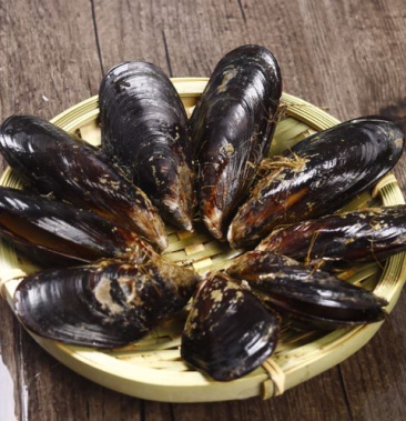 [贻贝批发]青口贝 大海虹价格8.00元/斤 - 一亩田