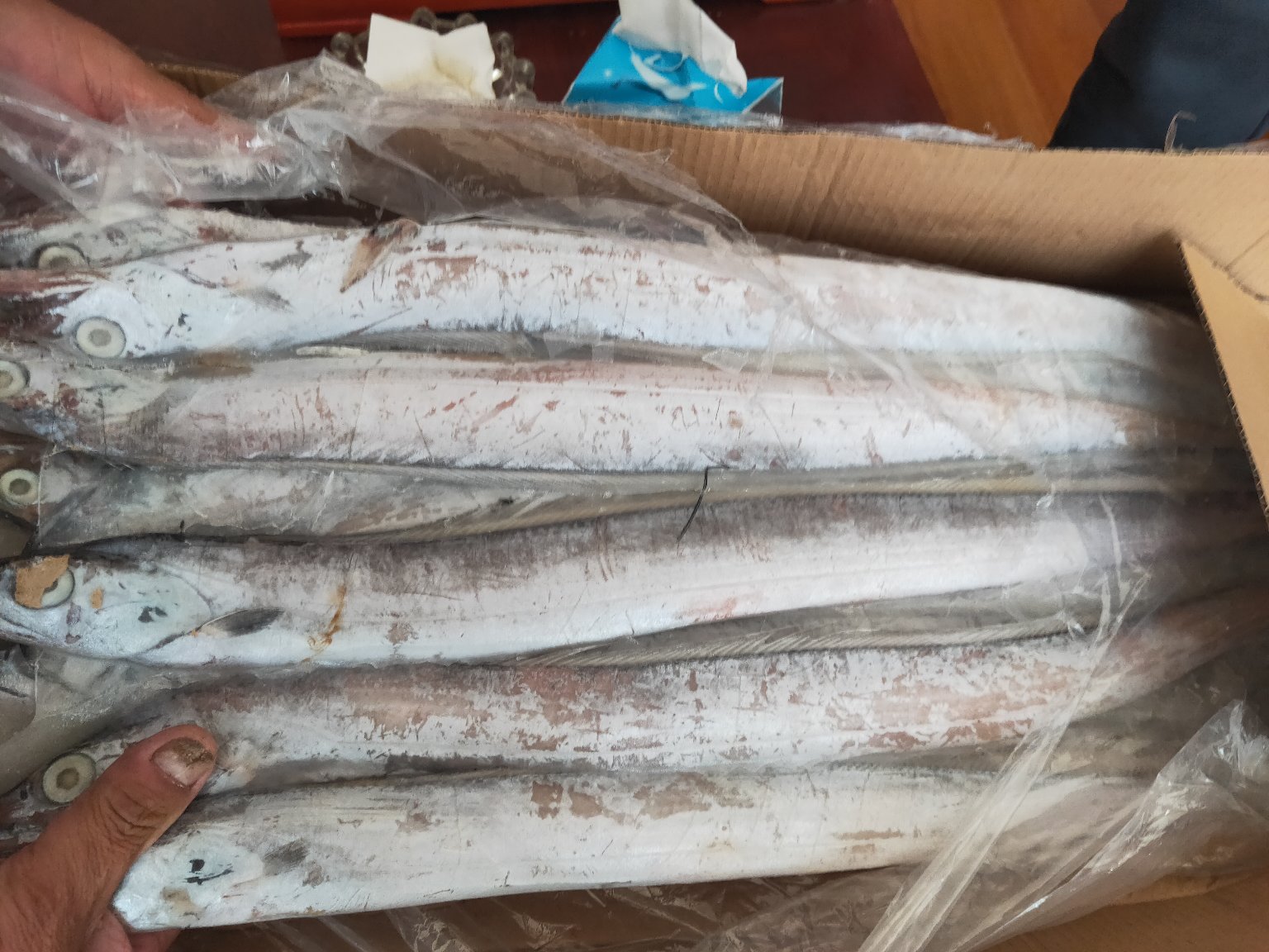 展示多种裙带菜深加工产品,如即食汤包、调味裙带菜、冻干裙带菜粉等,陈列在货架上 裙带菜深加工产品