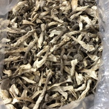 鹿茸菇
