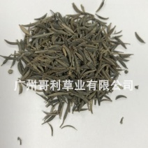 波斯菊花卉种子景区散播可混批厂家提供技术