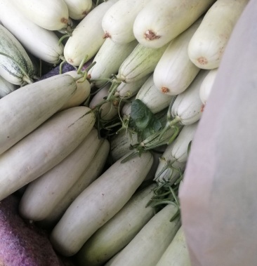 [博洋甜瓜批发]八两以上价格1.50元/斤 - 一亩田