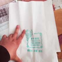 葡萄袋，桃子袋，梨袋，苹果袋，各种水果袋都有