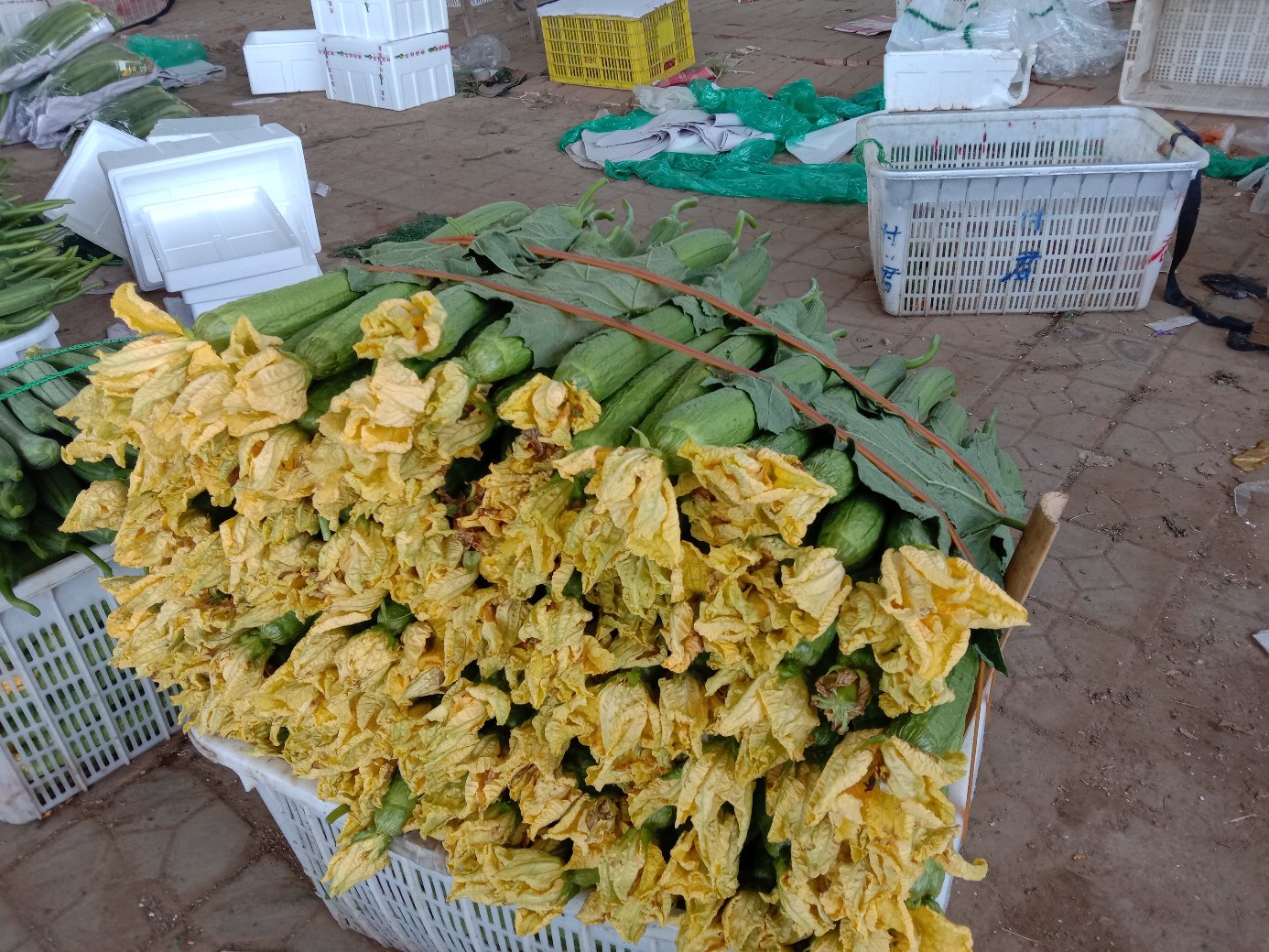 丝瓜与黄瓜的外观对比