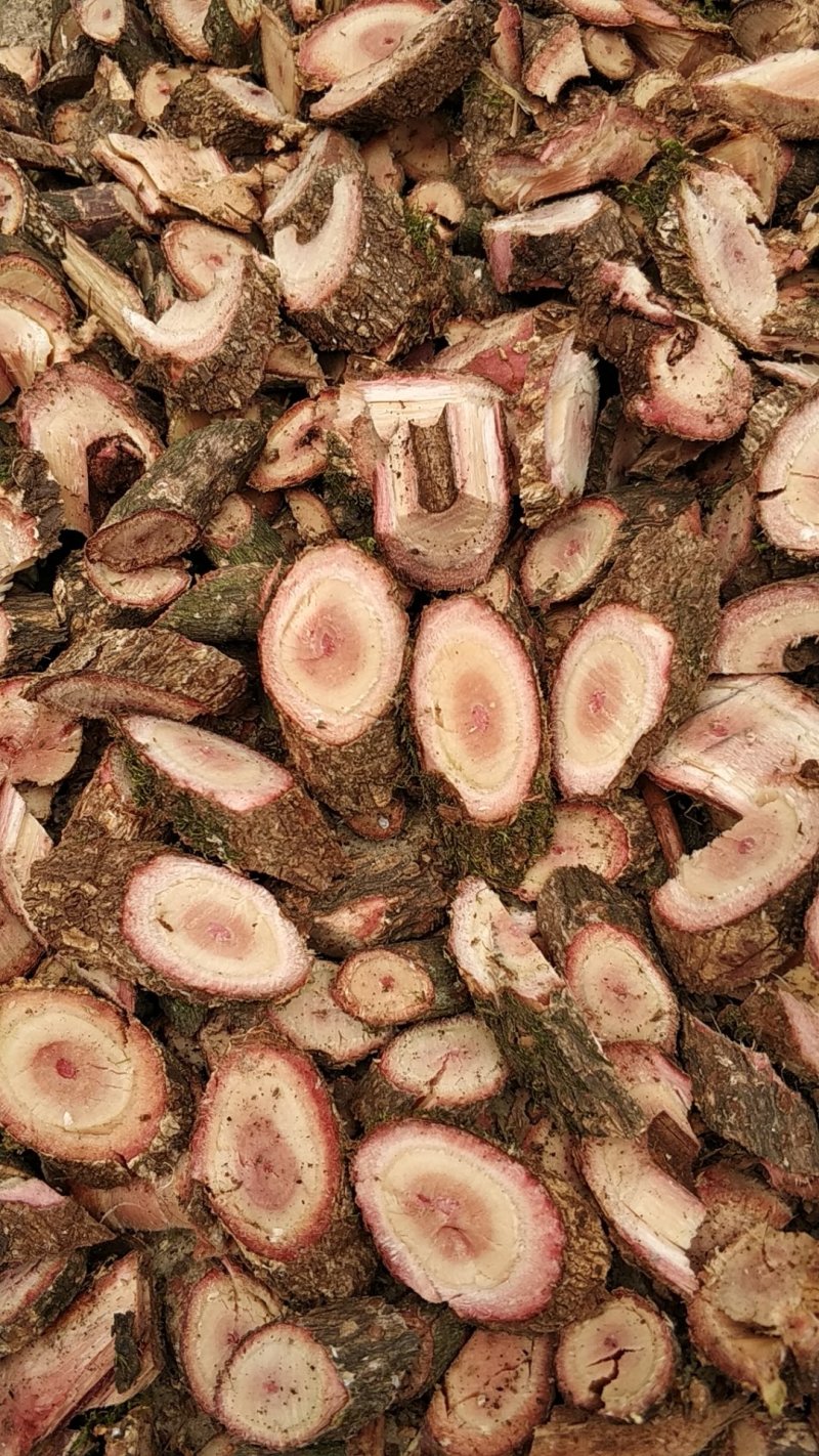 小血藤野生药材可以泡酒包邮